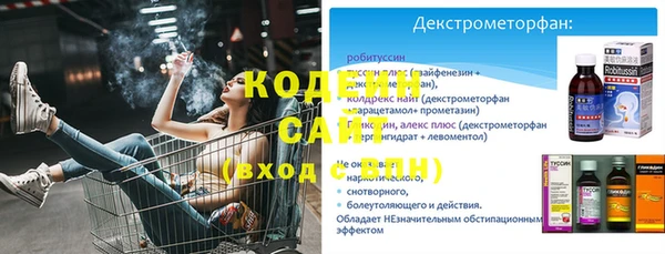 ПСИЛОЦИБИНОВЫЕ ГРИБЫ Бородино